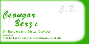 csongor berzi business card